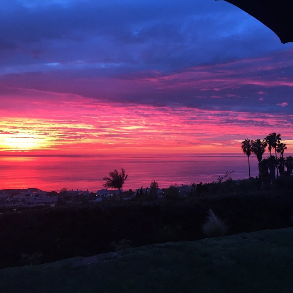 Meet your Posher, Rima